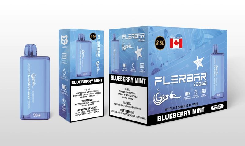Genie Flerbar 10000 - Blueberry Mint