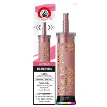 Starbuzz E-Hose 100K Puffs - Juicy Peach