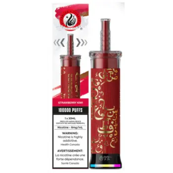 Starbuzz E-Hose 100K Puffs - Strawberry Kiwi