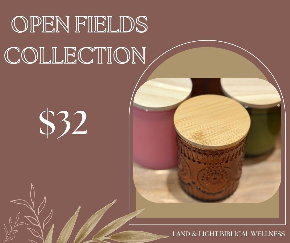 🌅 Open Fields Collection