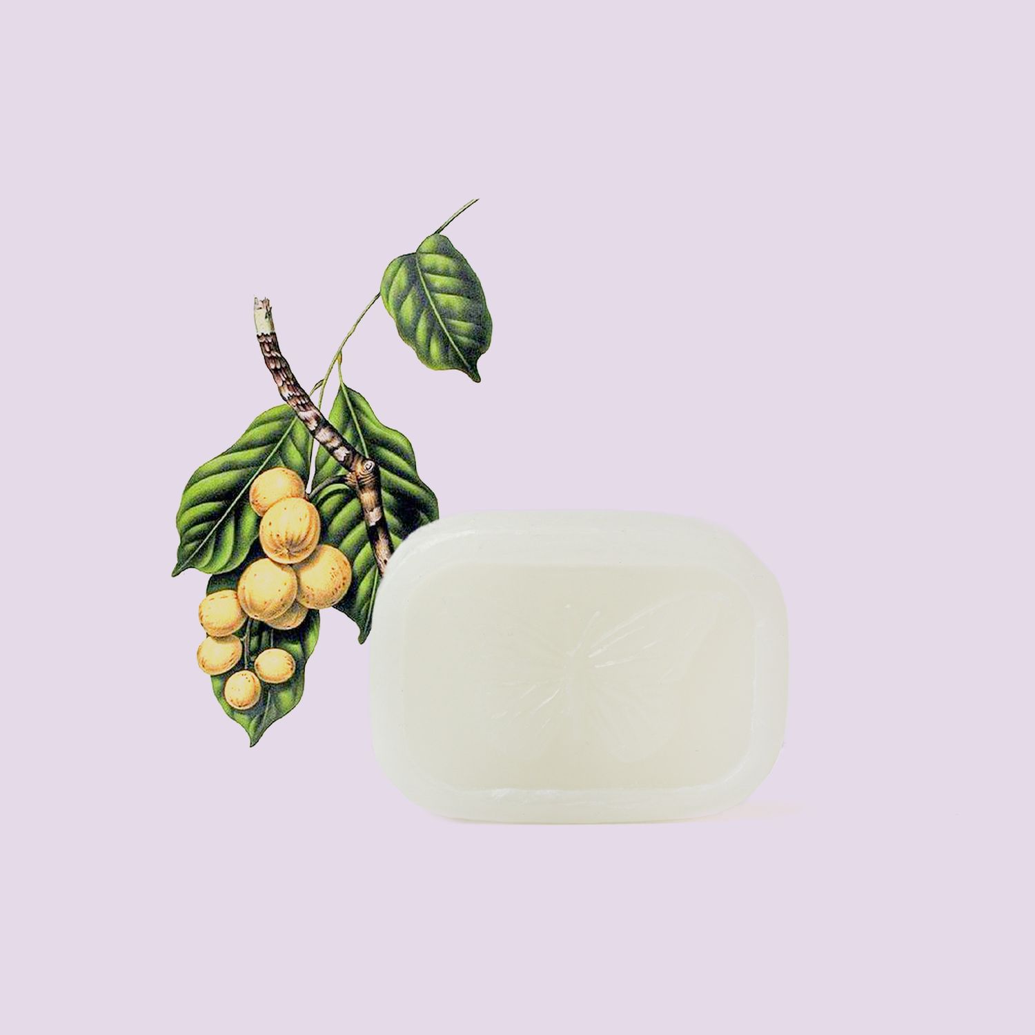 The Victorian Garden - Shea Butter Baby Soap - Fragrance Free - 120g