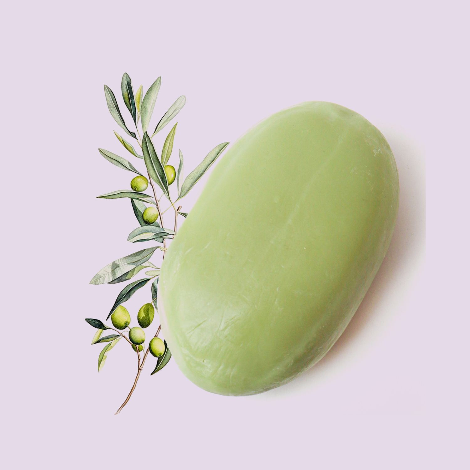 The Victorian Garden - Green Olive Men's Stone Soap - 250g