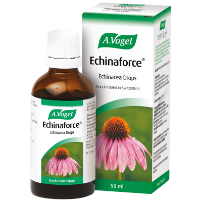A Vogel - Echinaforce Liquid - 50ml