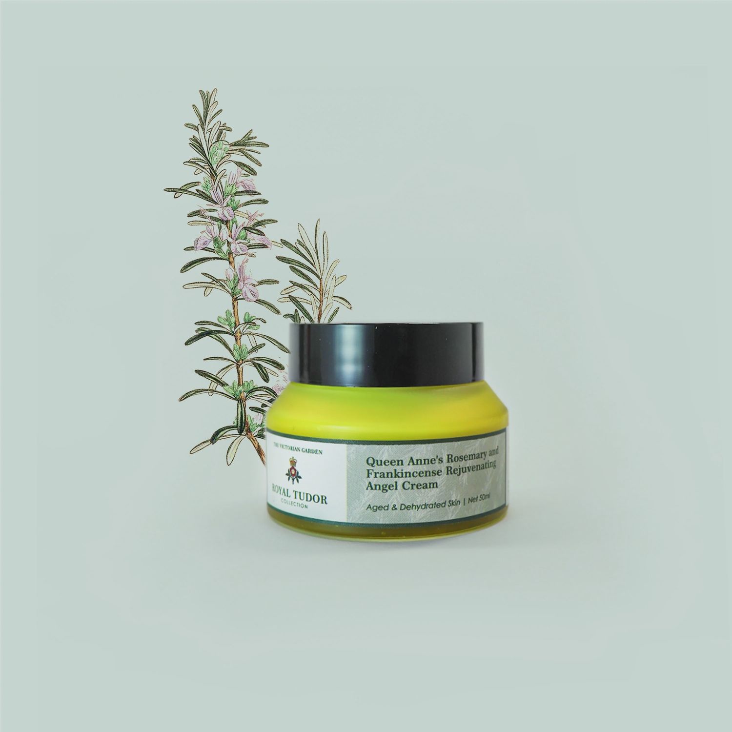 The Victorian Garden - Queen Anne's Rosemary and Frankincense Rejuvenating Angel Night Cream - 50ml