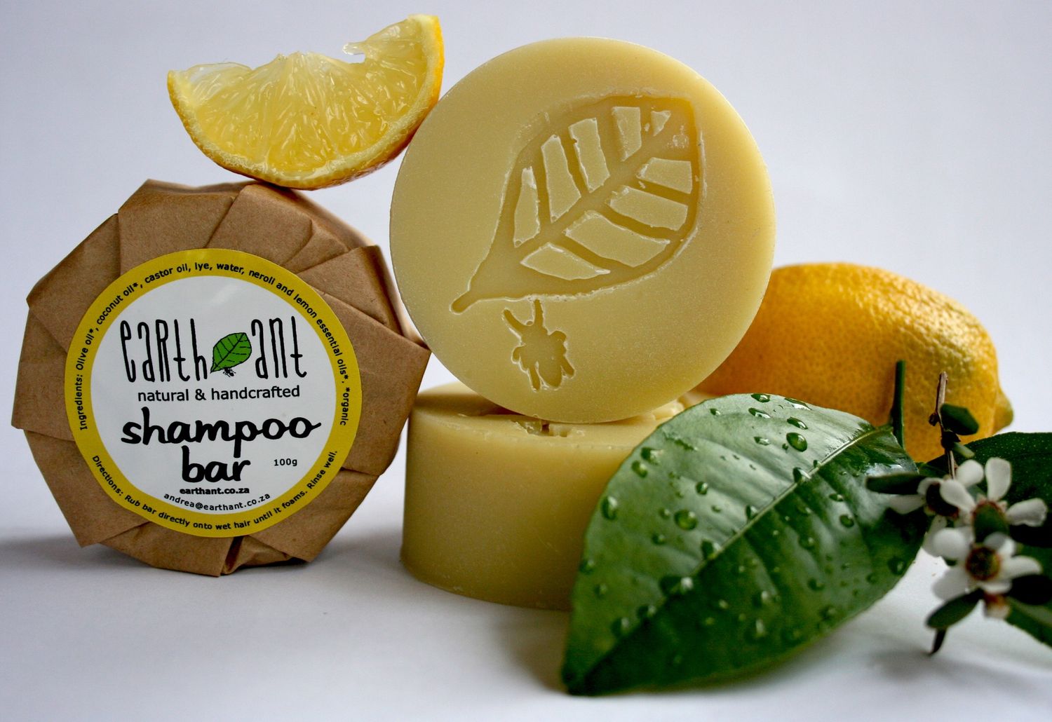 Earth Ant - Shampoo Bar - 100g