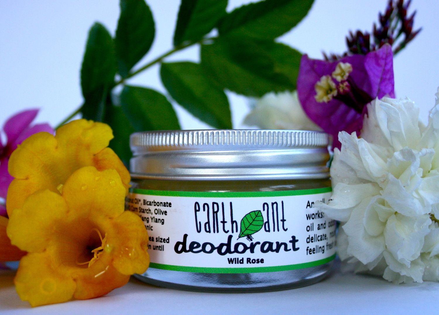 Earth Ant - Deodorant - Wild Rose - 50ml
