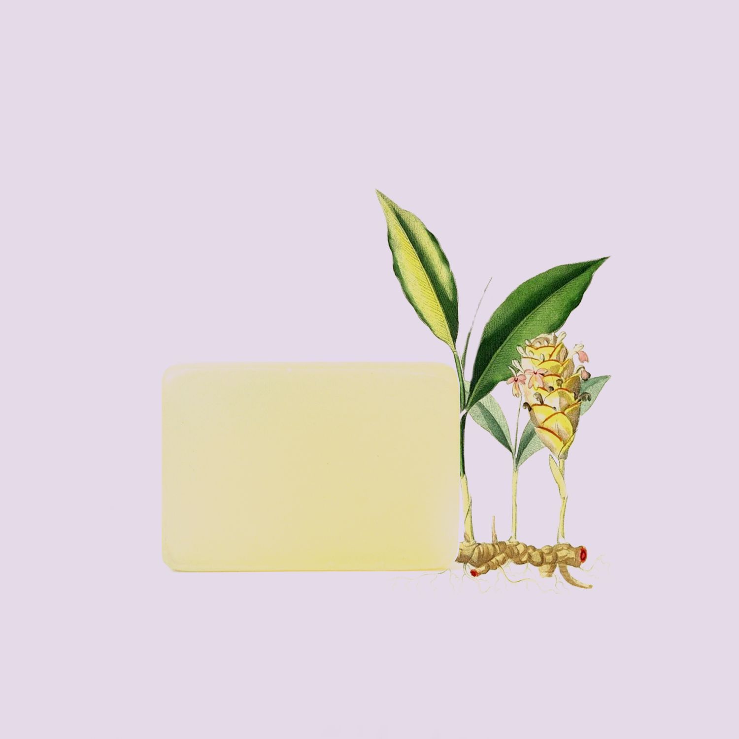 The Victorian Garden - Turmeric, Sandalwood &amp; Neroli Soap