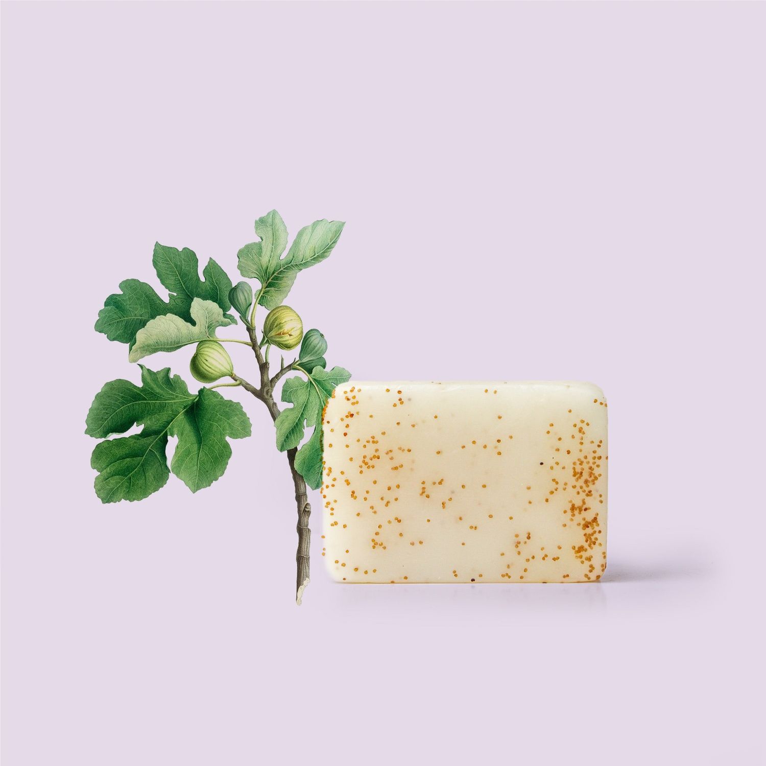 The Victorian Garden - Fig &amp; Poppy Seed Soap - 180g