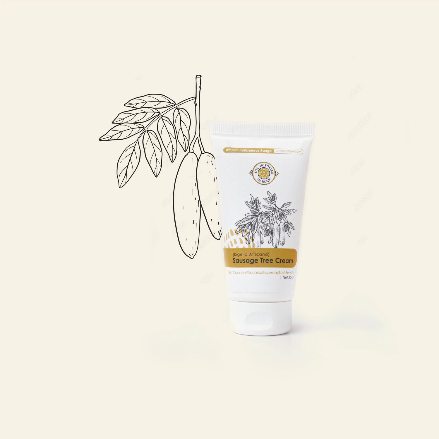 The Victorian Garden - Sausage Tree Cream (Kigelia Africana) - 50ml