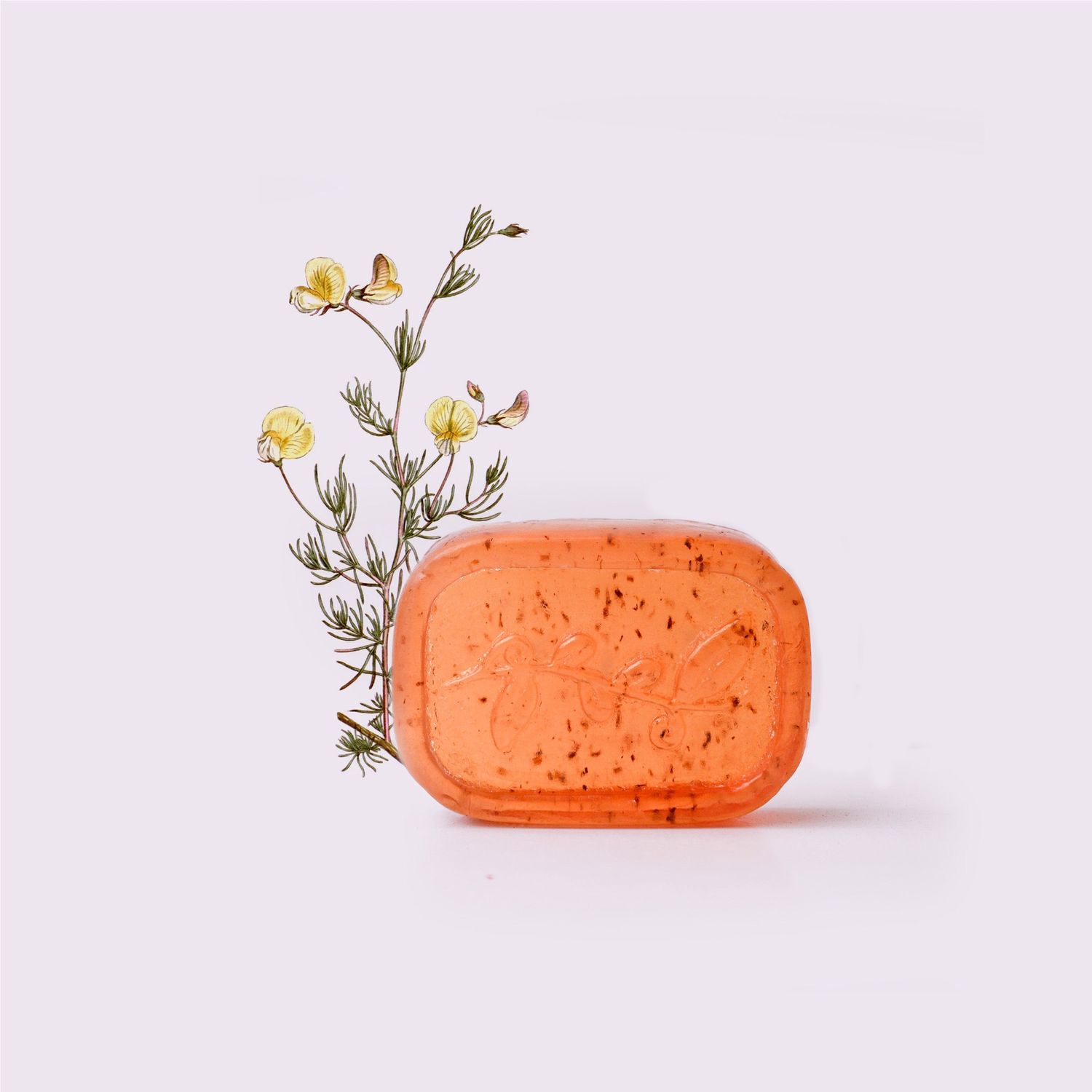 The Victorian Garden - Rooibos &amp; Honey Soap - 120g