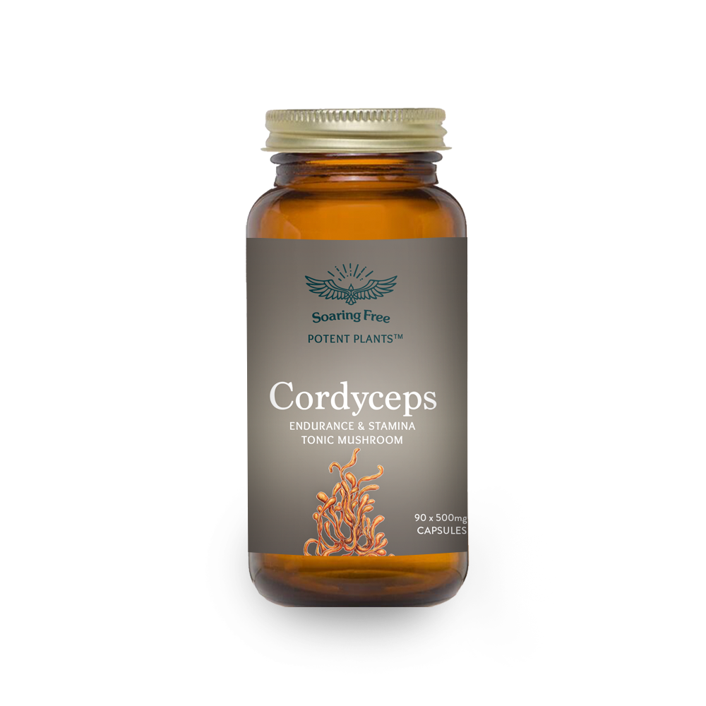 Soaring Free Superfoods - Cordyceps Mushroom Capsules -90 vegecaps