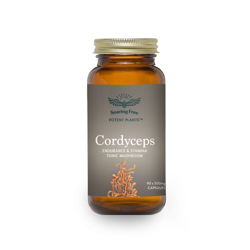 Soaring Free Superfoods - Cordyceps Mushroom Capsules -90 vegecaps