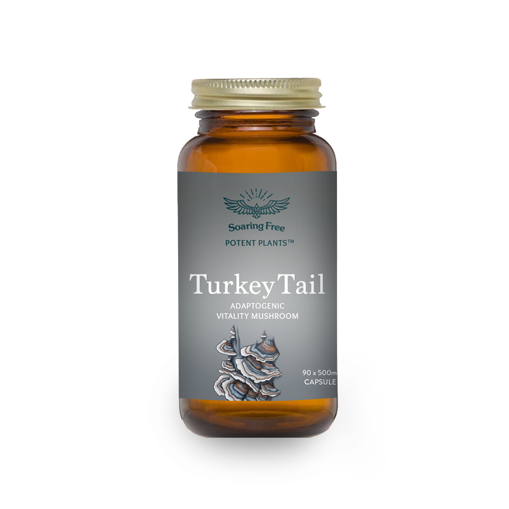 Soaring Free Superfoods - Turkey Tail - 90 vegecaps