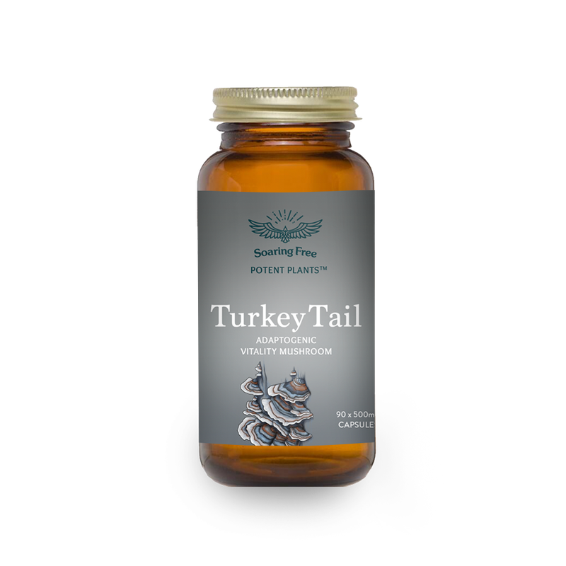 Soaring Free Superfoods - Turkey Tail - 90 vegecaps