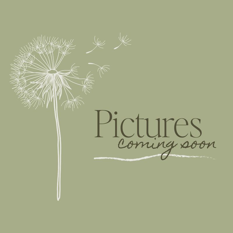 Going Natural - Cassia Leaf Oil - 10ml
