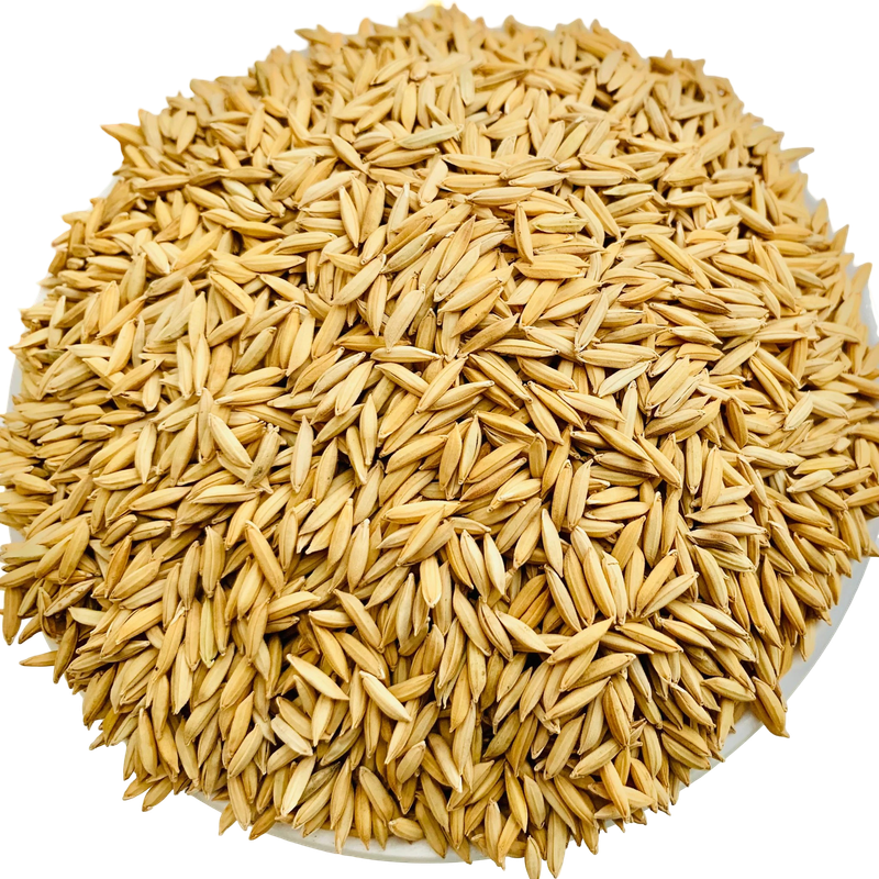 Puja Dhaan