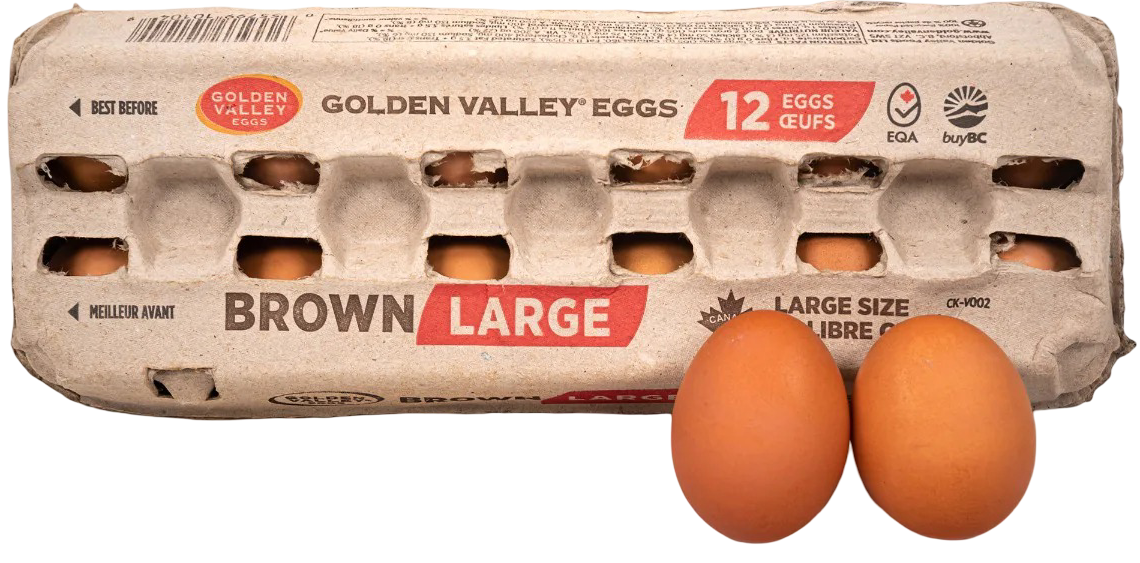 GRD A Large Brown Egg