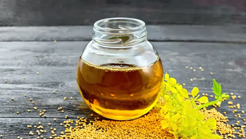 Gagan Mustard Oil 1 ltr