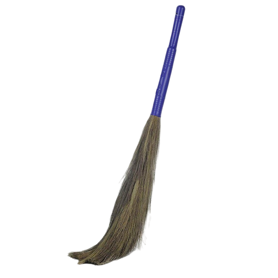Indian Soft Broom (Kucho)