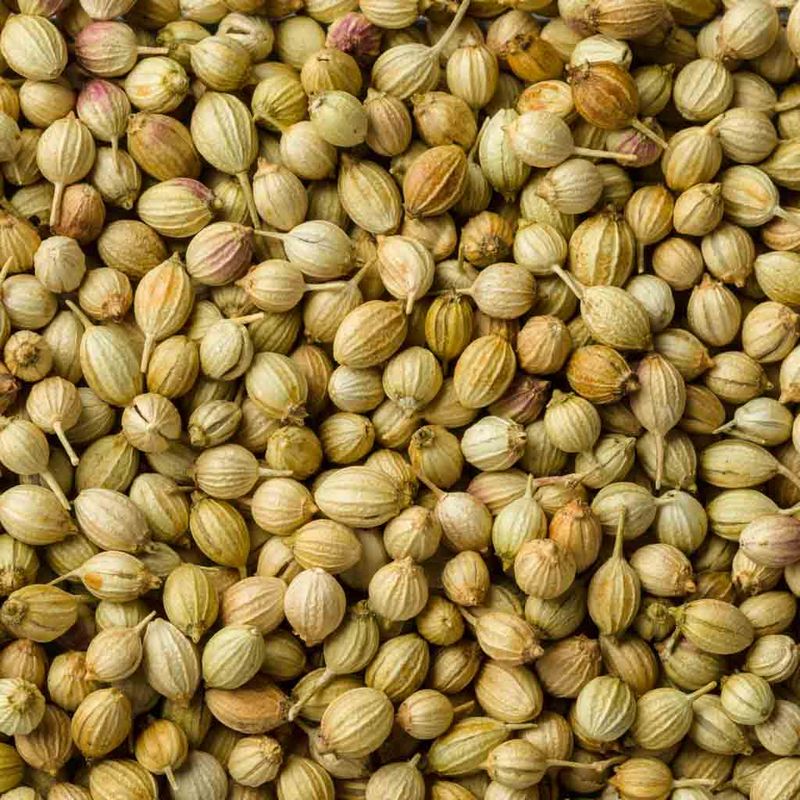 Gagan Coriander 200 gm
