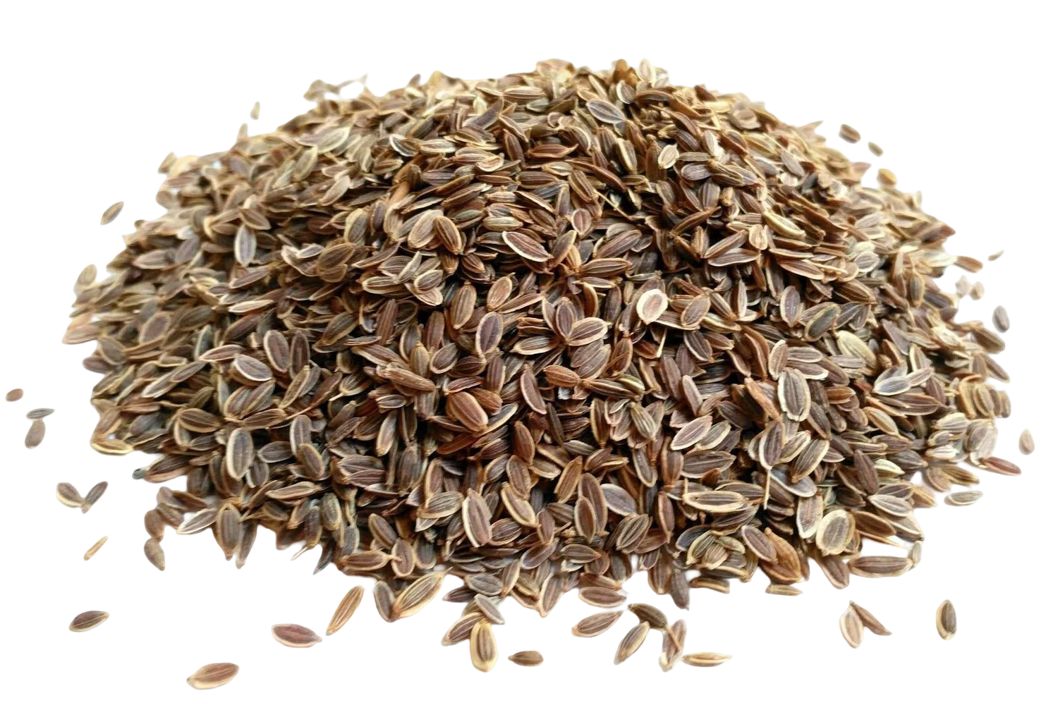 Dill Seeds 200 gm