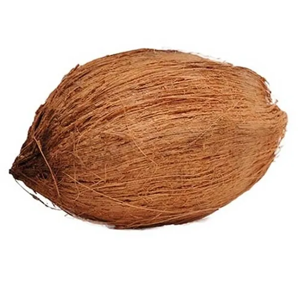 Jatta Coconut Puja