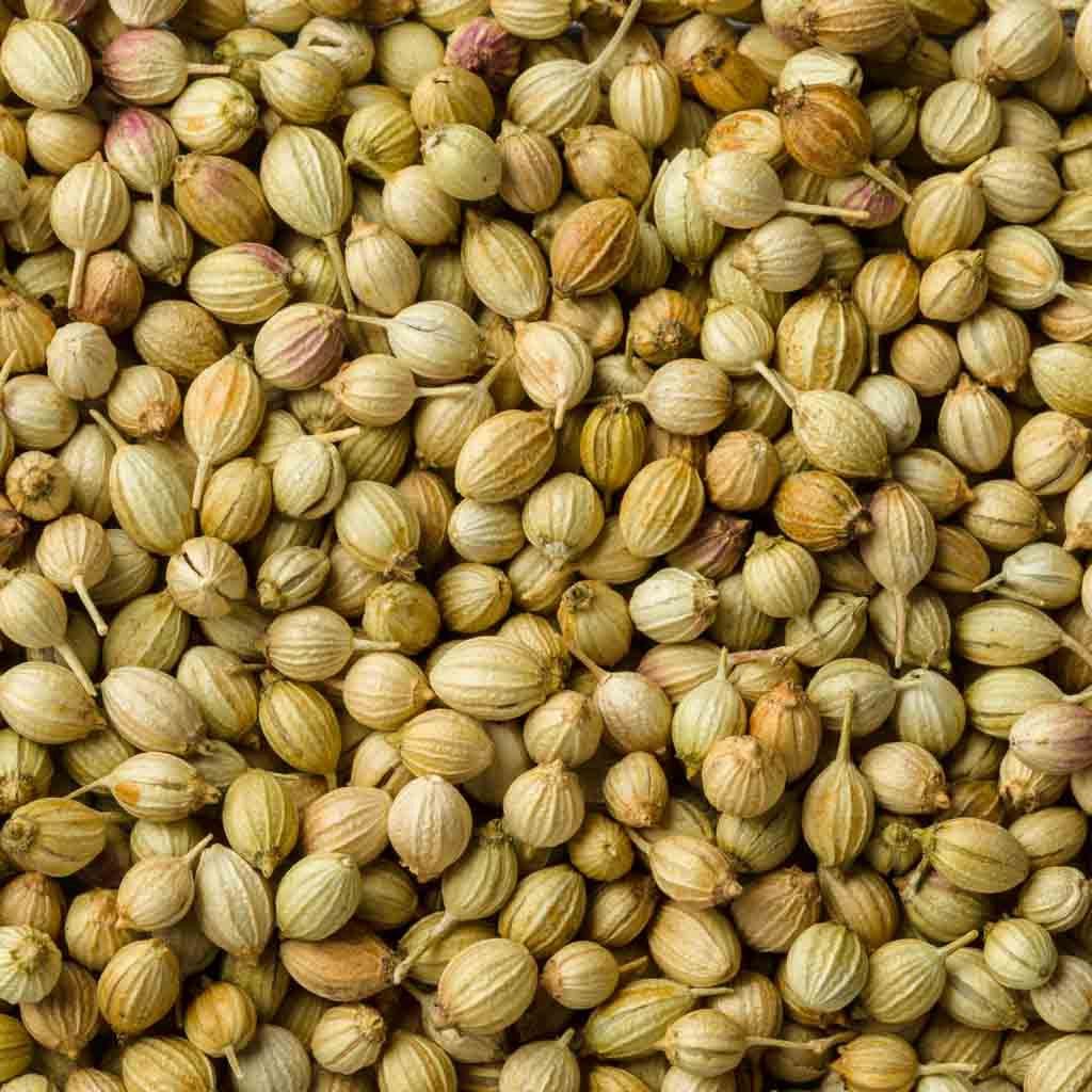 Coriander Seed 400 gm