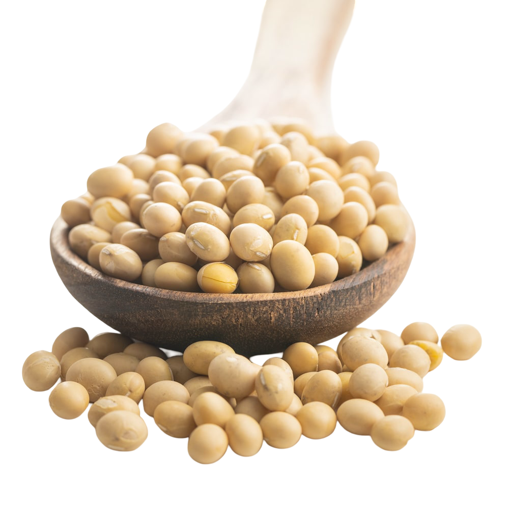 Pashupati White Soyabean 1 KG