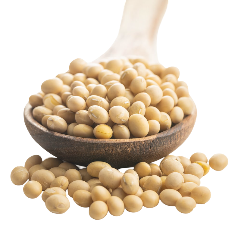 Pashupati White Soyabean 1 KG