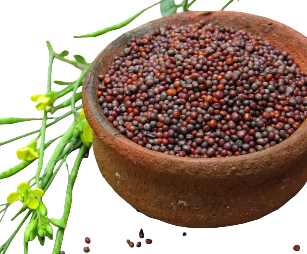 Sona Mustard Seed 400 gm