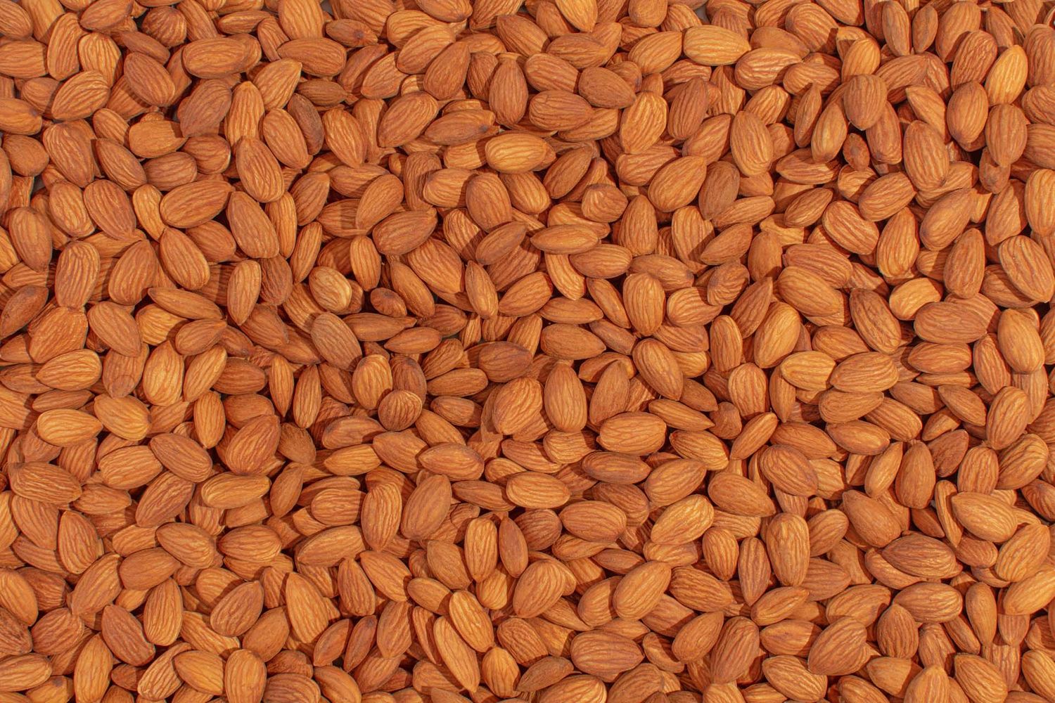 Almonds Raw Whole 5 lbs