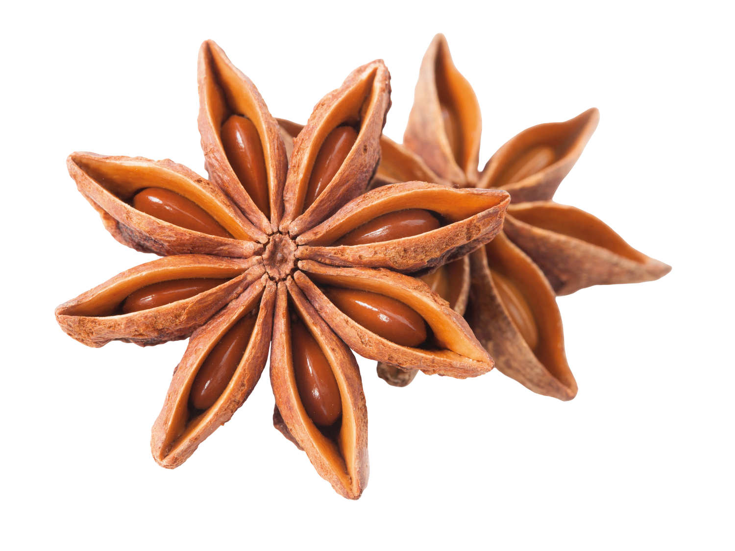 Gagan Star Aniseed 50 gm