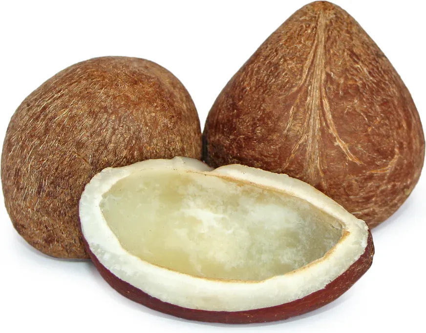 Dry Coconut Whole