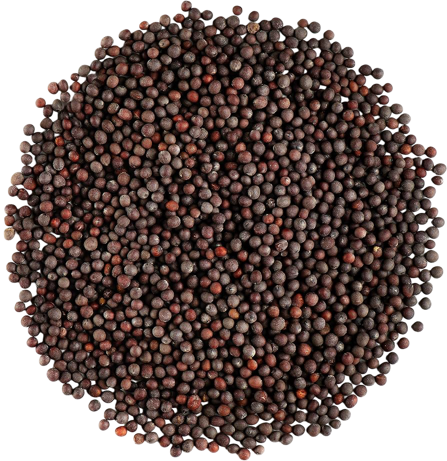 Mustard Black 100 gm