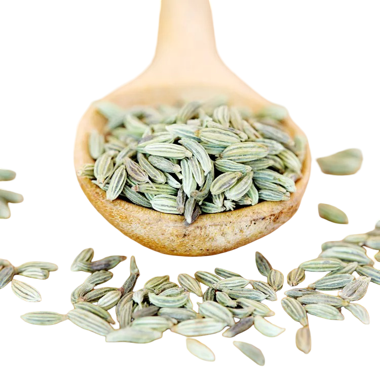 Fennel Seed