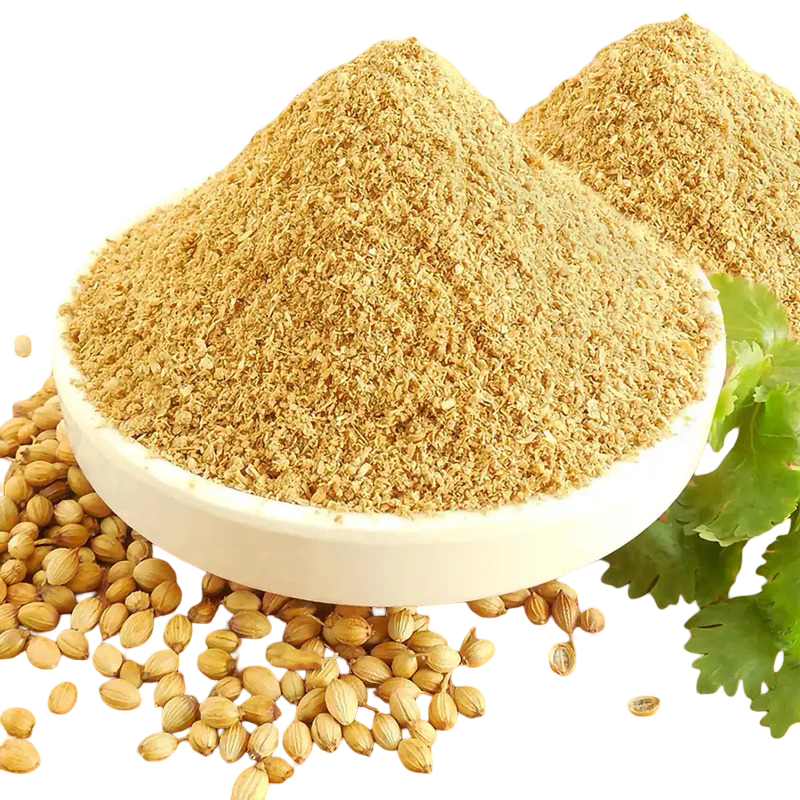 Gagan Dhaniya Powder 400g