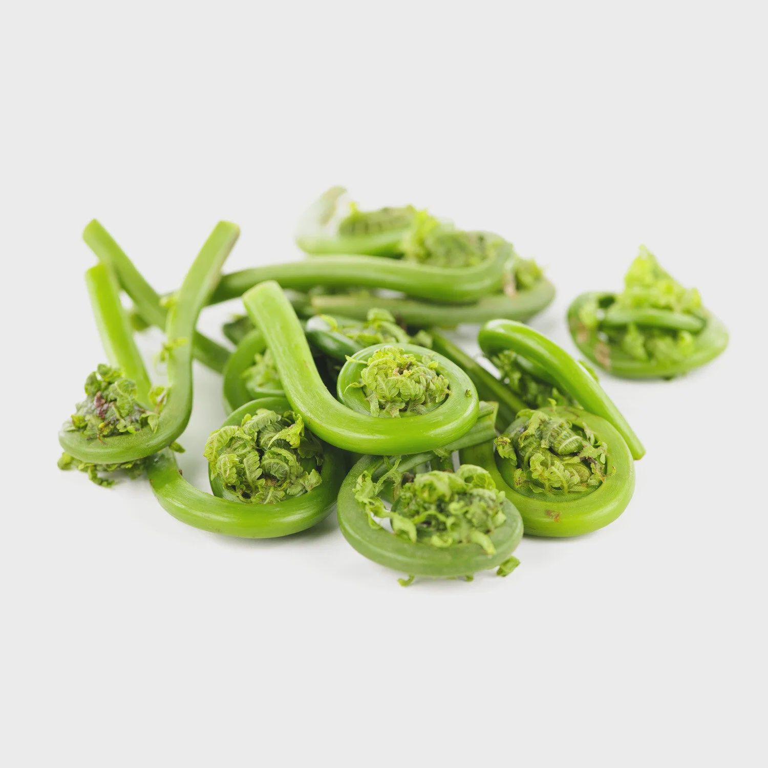 Fiddleheads (Niuro) 1 Lb