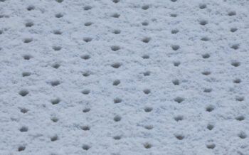 Coremat XM- 10mm (szer. 100cm)