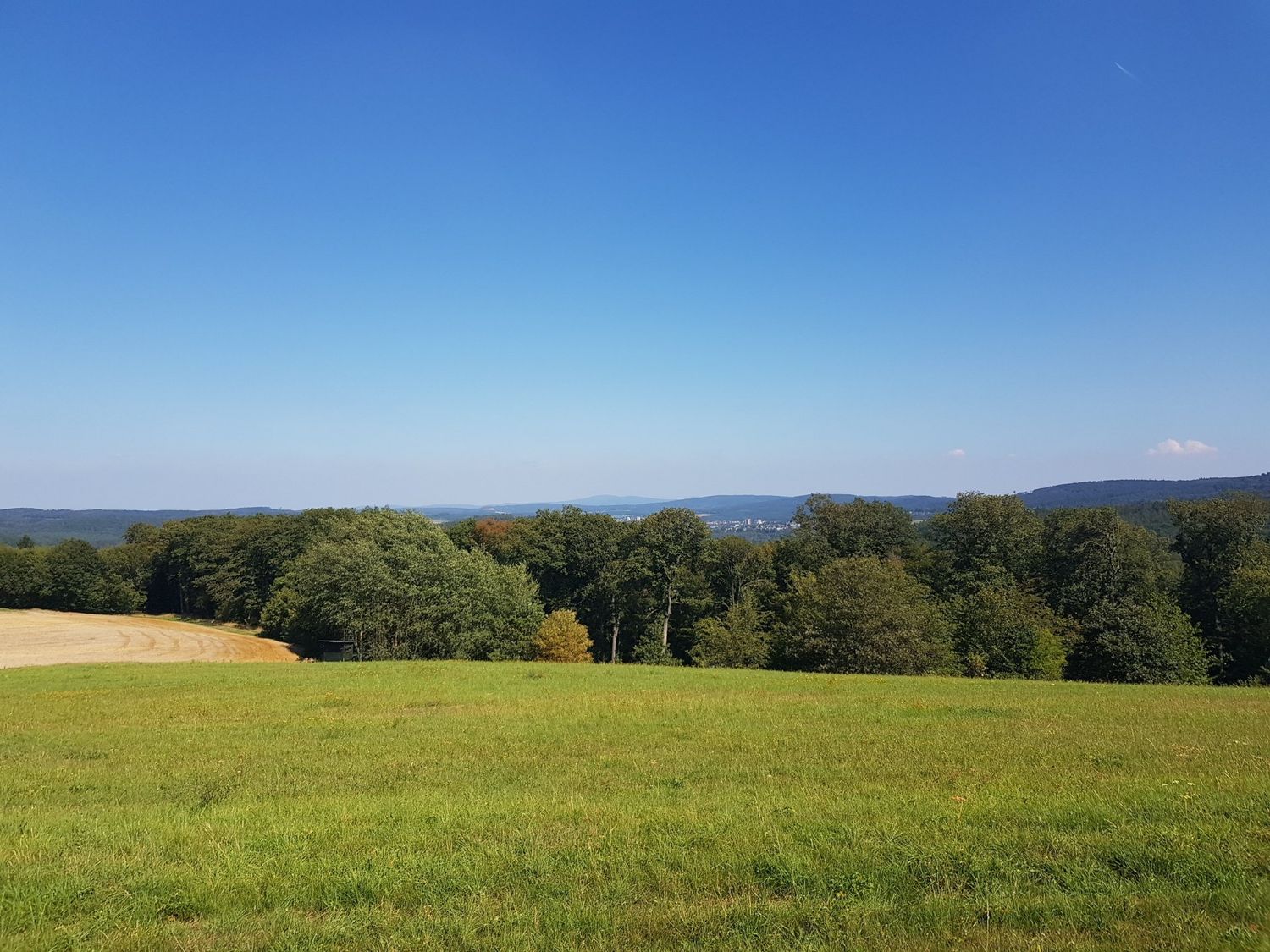 Energiepaket für dich und dein Tier