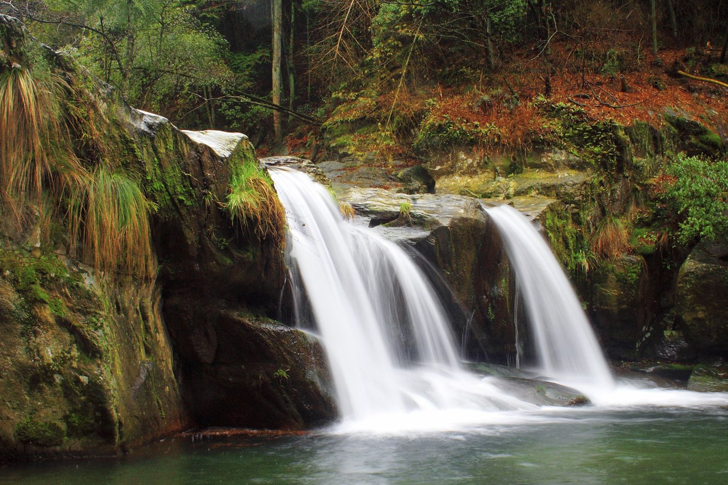 Fortgeschrittenen Kurs
