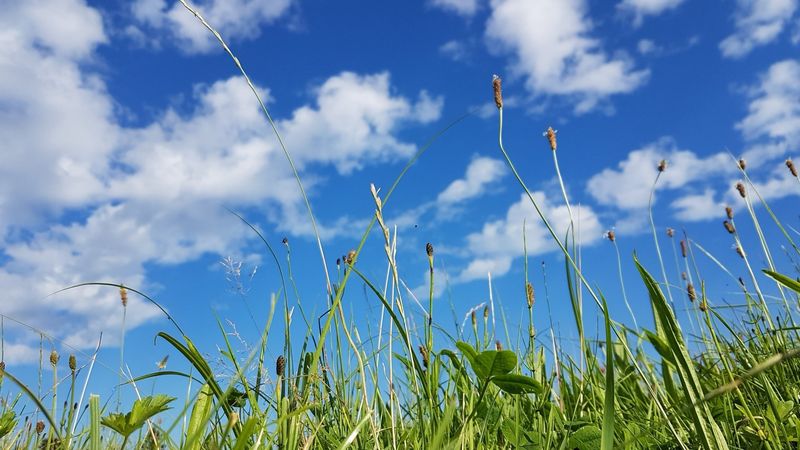 Premiumraum 6 Monate