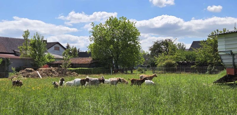 Individuelles Angebot