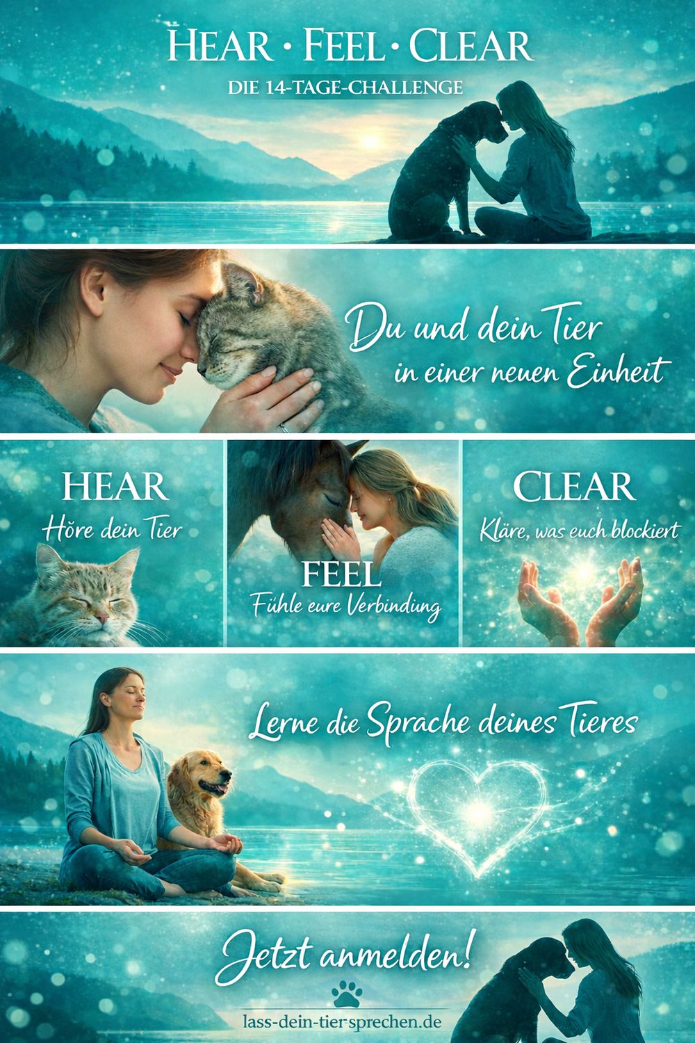 HEAR-FEEL-CLEAR-Challenge HEAR-FEEL-CLEAR-Challenge