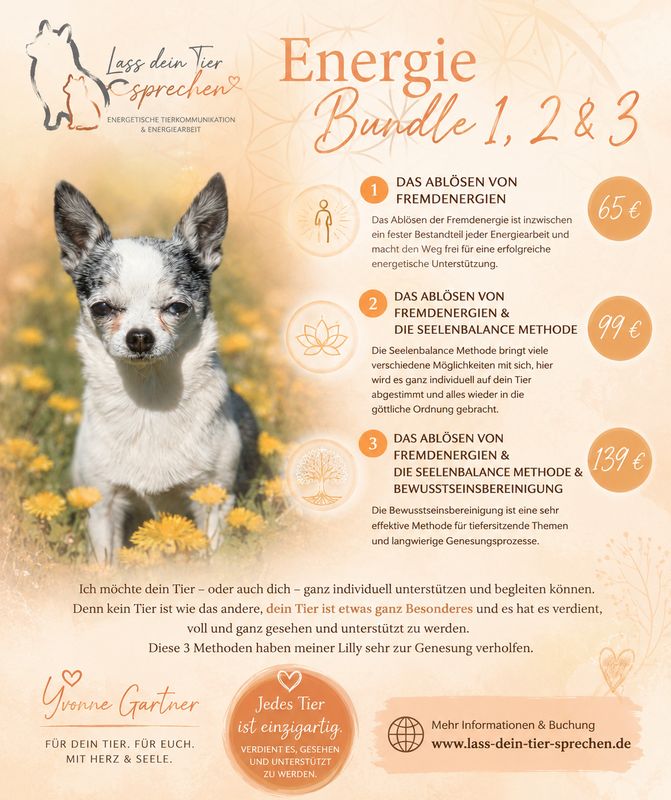 Energie Bundle 1,2 oder 3 Energie Bundle 1,2 oder 3