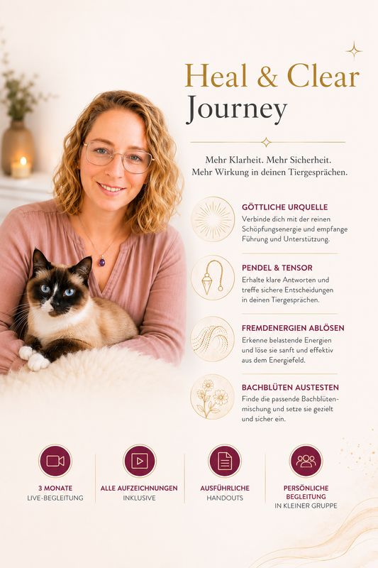 Heal & Clear Journey