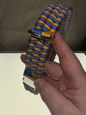 Collars and Leads