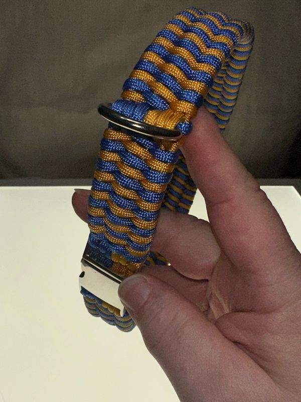 Trilobite Collar With Silver Metal Quick Release Buckle
