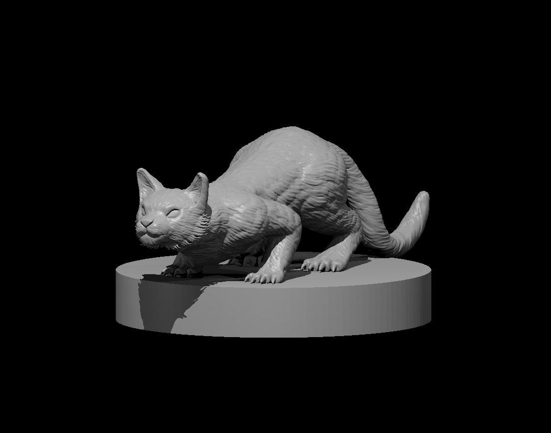 Cat - s Cat - s