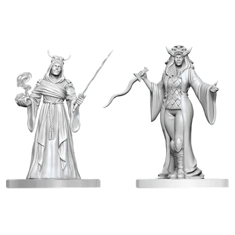 D&D Nolzur's Marvelous Miniatures: Cultist Fanatic & Hierophant