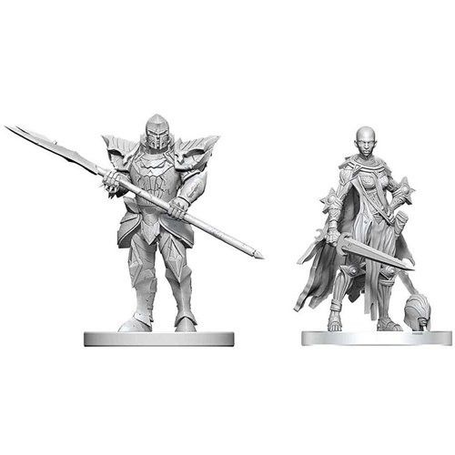 D&D Nolzur's Marvelous Miniatures: Nail & Rack Hellknights